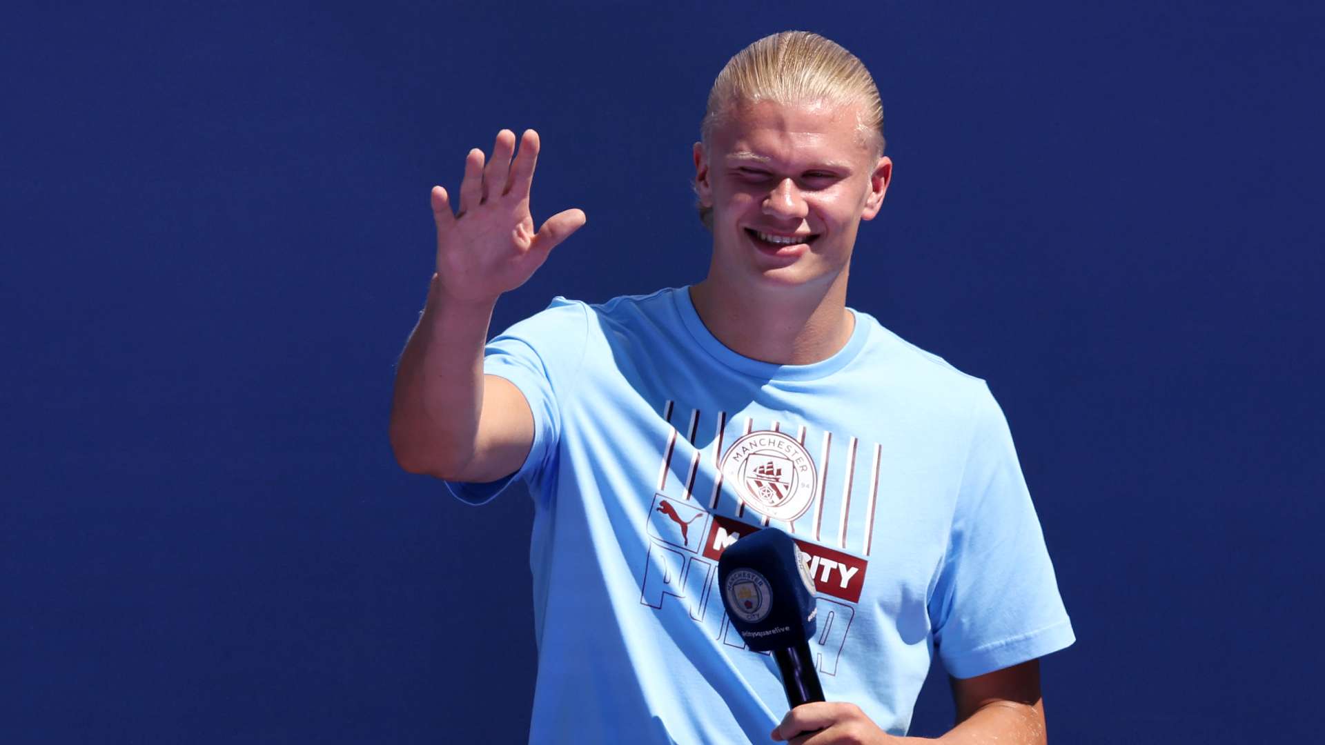 深入探讨梅 深入探讨梅